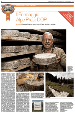 Il Formaggio Alpe Prato DOP
