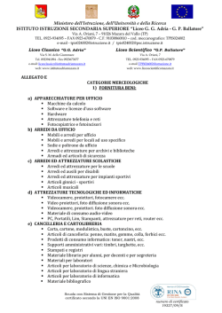 allegato e