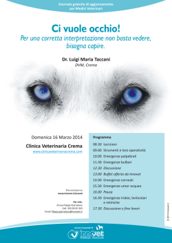 Scarica il programma completo (168.75 Kb - PDF)