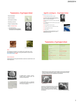 Cryptosporidium - Universit&agrave; degli Studi di Teramo