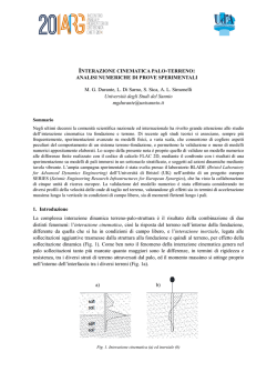 INTERAZIONE CINEMATICA PALO-TERRENO - IARG 2014