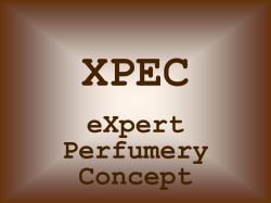 XPEC - Beauty Lead