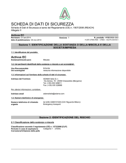 Scheda di sicurezza CLP