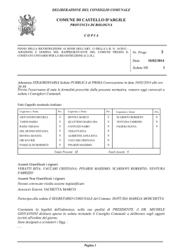 C.C n. 03 del 10.02.2014