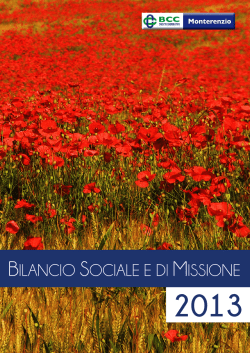 Bilancio Sociale e di Missione 2013