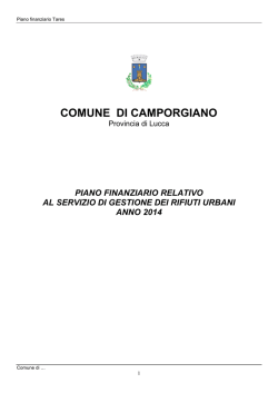 PIANO FINANZIARIO COMUNE DI CAMPORGIANO.rtf