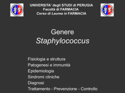 A Staphy 2013 - WordPress.com