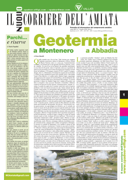Scarica il file PDF