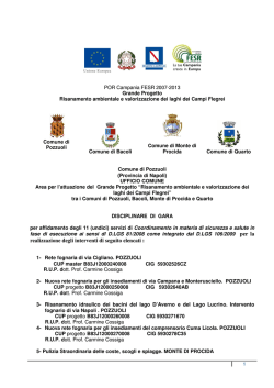 Disciplinare di gara - Comune di Pozzuoli