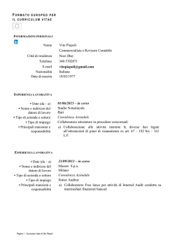 Curriculum Vitae - New Risk Controlling