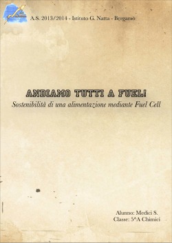 Tesina - ANDIAMO TUTTI A FUEL! 25 giu.pages