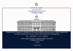 Sintesi emendamenti - CAMERA