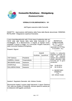 delibera n. 101 - integrazione approvazione iniziativa fes&hellip;