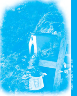 I SACRI MONTI DEL VALLESE