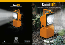 FLD-SCOUT LED_845181000