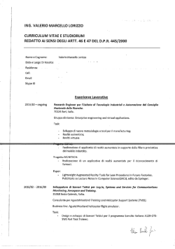 ING. VALERIO MARCELLO LORIZZO CURRICULUM VITAE E