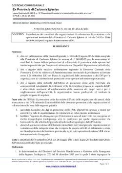 Atto liquidazione n. 100 del 15.07.2014