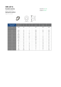DIN 137 A - INOX Tirrenica