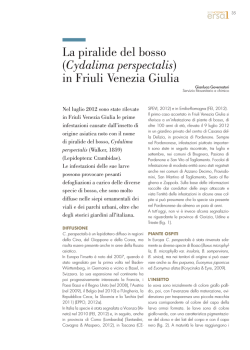 La piralide del bosso (Cydalima perspectalis) in Friuli Venezia Giulia