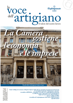 Scarica il PDF - Confartigianato Imprese Cuneo