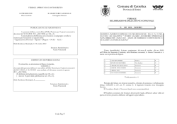GC 149/2012 - Modifica linee di indirizzo