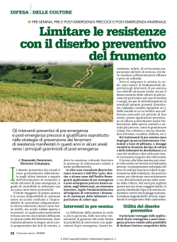 Limitare le resistenze con il diserbo preventivo del frumento