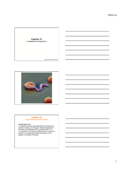 Biochimica del Glc Ch 15 e Ch16 - E