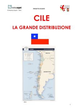 La grande distribuzione - CILE 2014