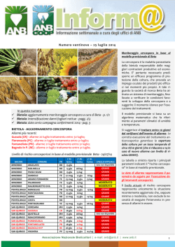 aggiornamento monitoraggio cercospora a cura di Beta