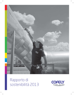 Rapporto di sostenibilità 2013