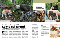 Scarica Rivista - Tartufi Marzoli