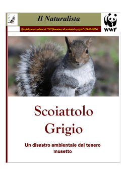 Mille sfumature di scoiattolo grigio