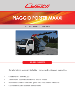 Piaggio Porter maxxi gru