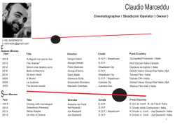 Curriculum Claudio Marceddu English