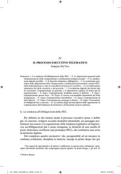 IV IL PROCESSO ESECUTIVO TELEMATICO