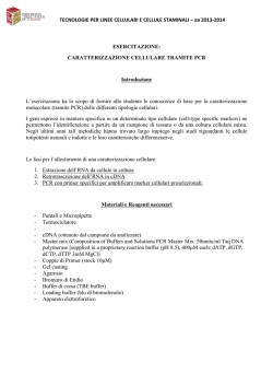 PCR - Universit&agrave; degli Studi di Teramo