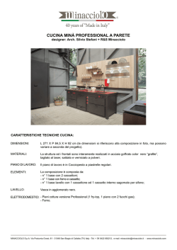 CUCINA MIN&Agrave; PROFESSIONAL A PARETE