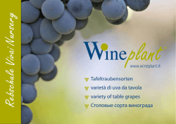 Tafeltraubensorten variet&agrave; di uva da tavola variety of table