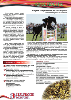 HORSE FIOC H16 HORS E FIOC H E F 16