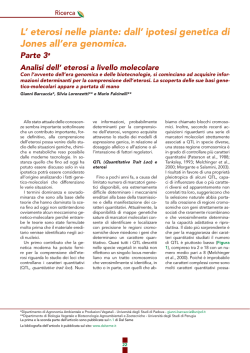 Eterosi_dalSeme #3 - Gianni Barcaccia Laboratory