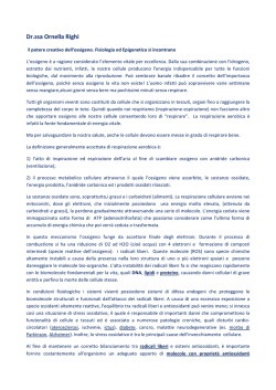 Dr.ssa Ornella Righi