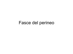 13-PERINEO-Fasce del Perineo