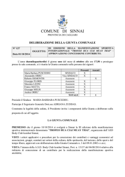 COMUNE DI SINNAI