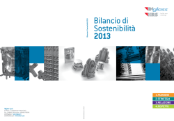 Bilancio di Sostenibilità 2013