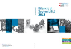 Bilancio di Sostenibilit&agrave; 2013