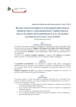 Alluvione_2013 BANDO