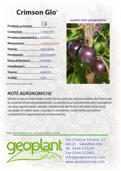 Crimson Glo* susino cino-giapponese