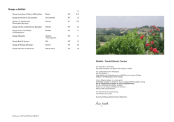 Bindella &ndash; Tenuta Vallocaia, Toscana