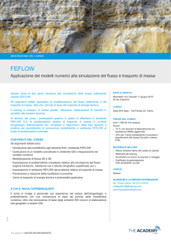 FEFLOW
