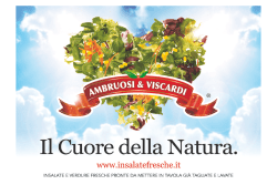Scarica la Presentazione di Ambruosi e Viscardi